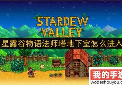 星露谷物语法师塔地下室如何进入 星露谷物语法师建筑