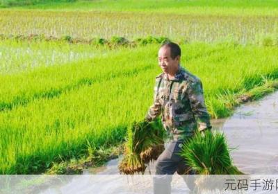 情侣的一百种插秧法 情侣的一百种插秧法?求大神赐教-知乎 - 白马游戏园