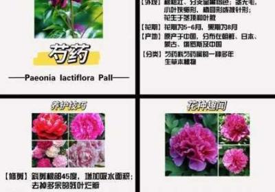 香软玉滑 香软玉滑古言小说