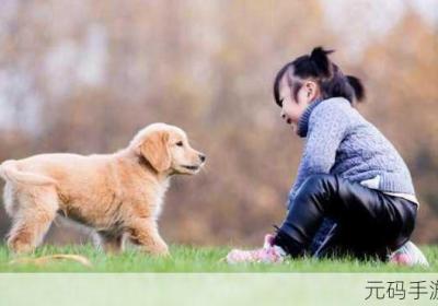 角色动物互动高清视频素材 幼儿园动物角色游戏教案