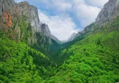 ぱらだいす天堂中文WWW全新版完整版