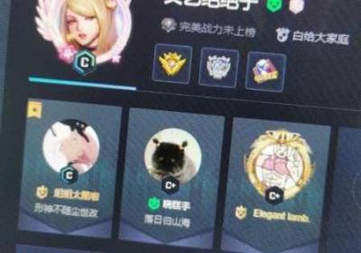 csgo暴躁妹妹和logo csGO暴躁妹妹和logo对比亮点分享