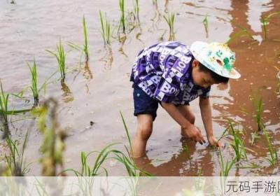 放荡插秧与亲密插秧的不同差异 插秧的另一种意思