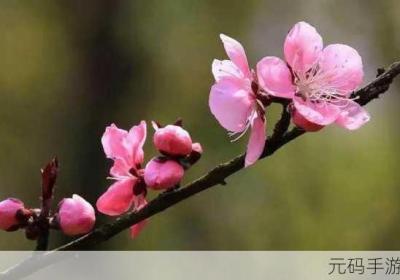 桃红色jeep官方主打进口 红色jeep车价格