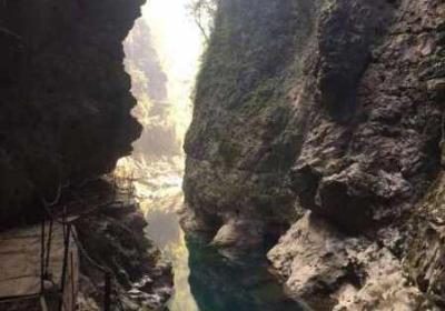 铜铜铜铜仁又大又深板 铜111