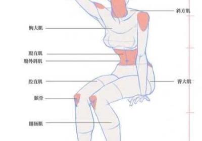 坐姿轮流提双腿能起到啥子效 坐姿提腿动作如何做呢?