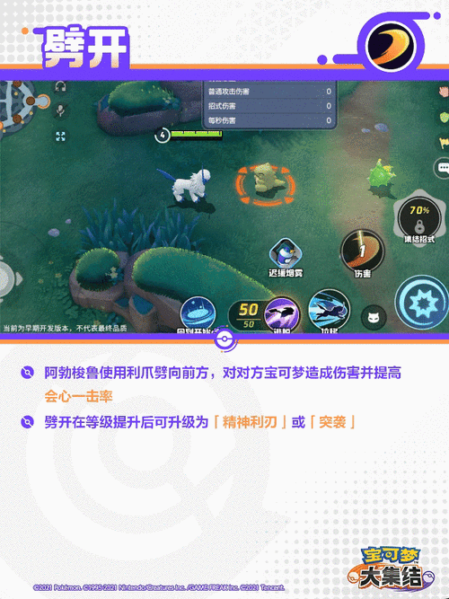 宝可梦大集结,极速升级秘籍大公开