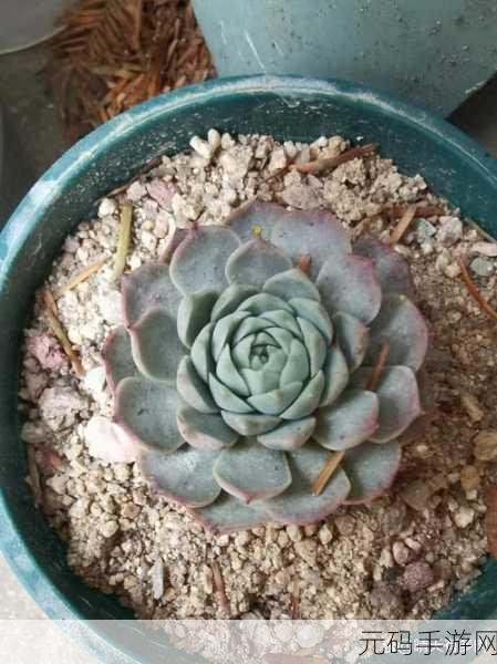 166FUN热点黑料,当然可以!以下是一些基于166FUN热点黑料的新