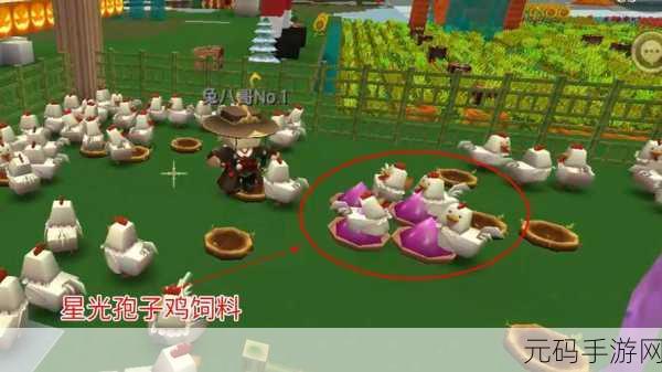 迷你世界鸡饲料攻略,精准投喂与鸡的饮食偏好