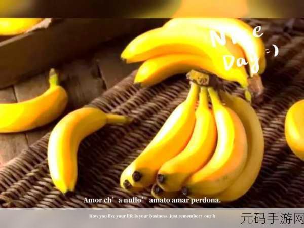 茄子丝瓜草莓榴莲石榴，1. ＂探索茄子与丝瓜的美味搭配秘诀