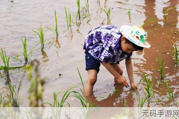 浪漫插秧和亲密插秧的区别,1. 浪漫与亲密:插秧中的情感表达