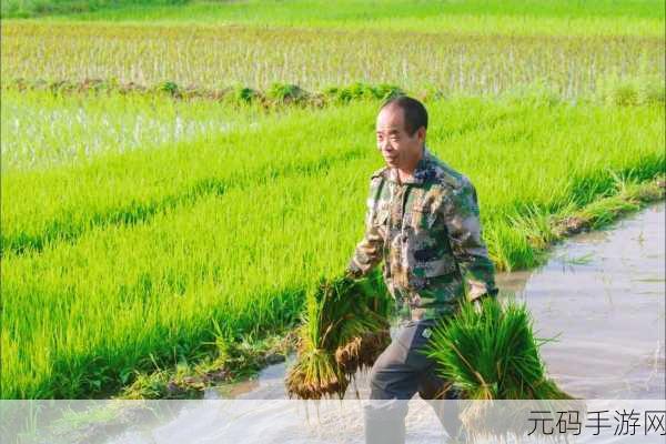 情侣的一百种插秧法,1. 情侣插秧:爱的田园诗篇