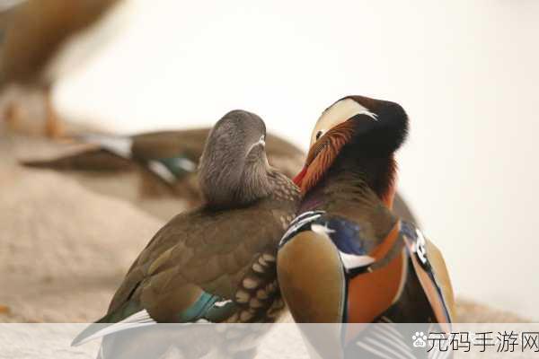 鸳鸯谱在线观看高清,1. 《鸳鸯谱:情缘背后的秘密与奋斗