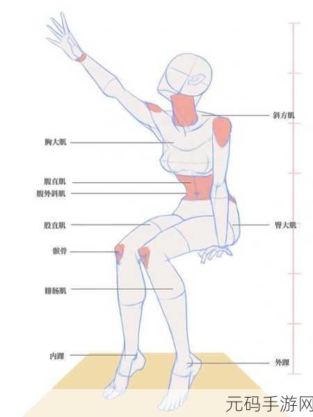 坐姿轮流提双腿能起到什么效，1. 坐姿轮流提腿：提升核心力量与灵活性